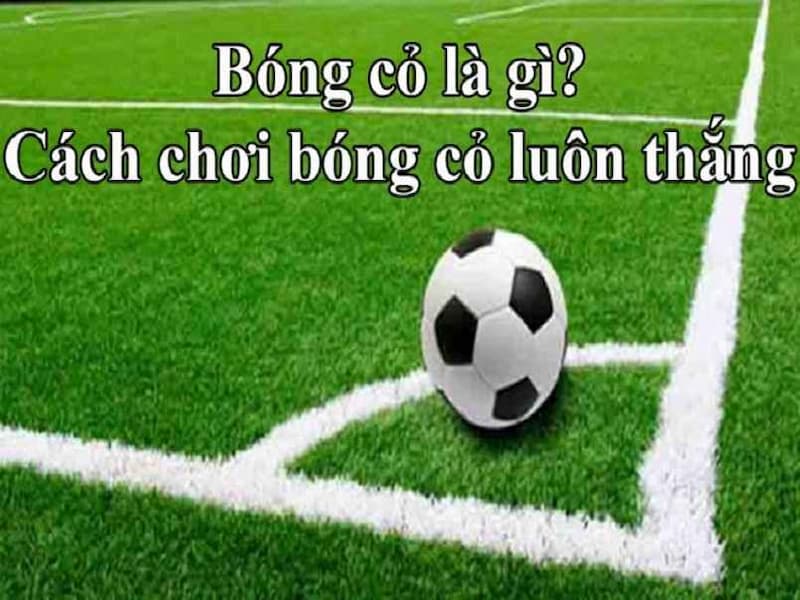 Kèo bóng cỏ 