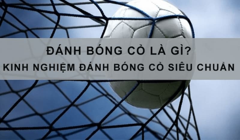 Kèo bóng cỏ 