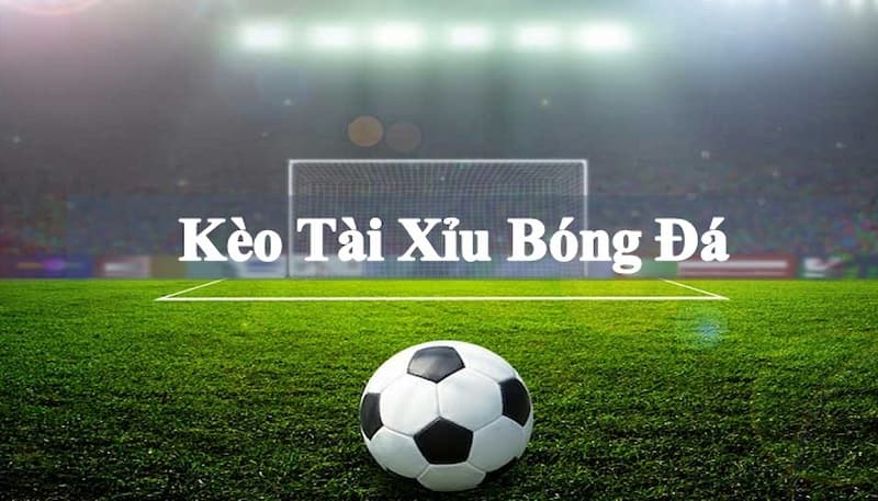 keo tai xiu 2 1 1