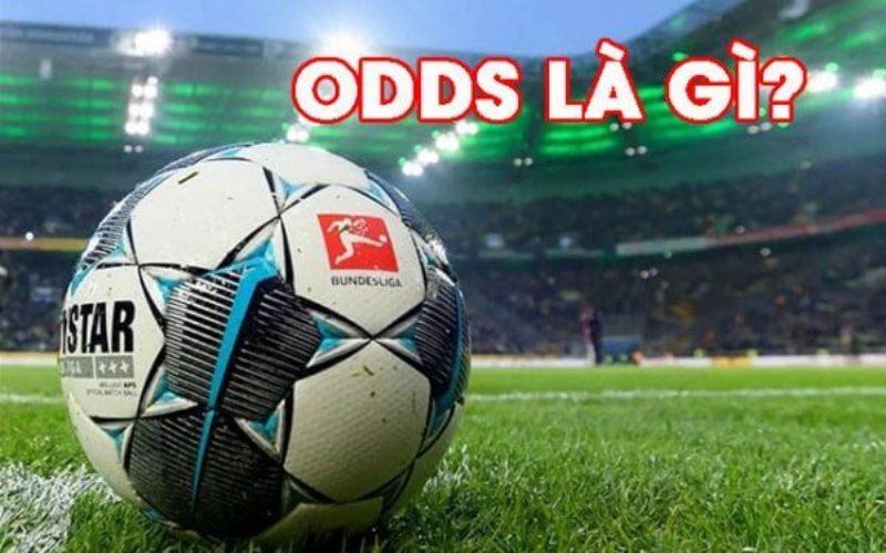 Tỷ lệ Odds trong cá cược bóng đá là gì ? Cách đọc chi tiết nhất 5 ty le odds 1